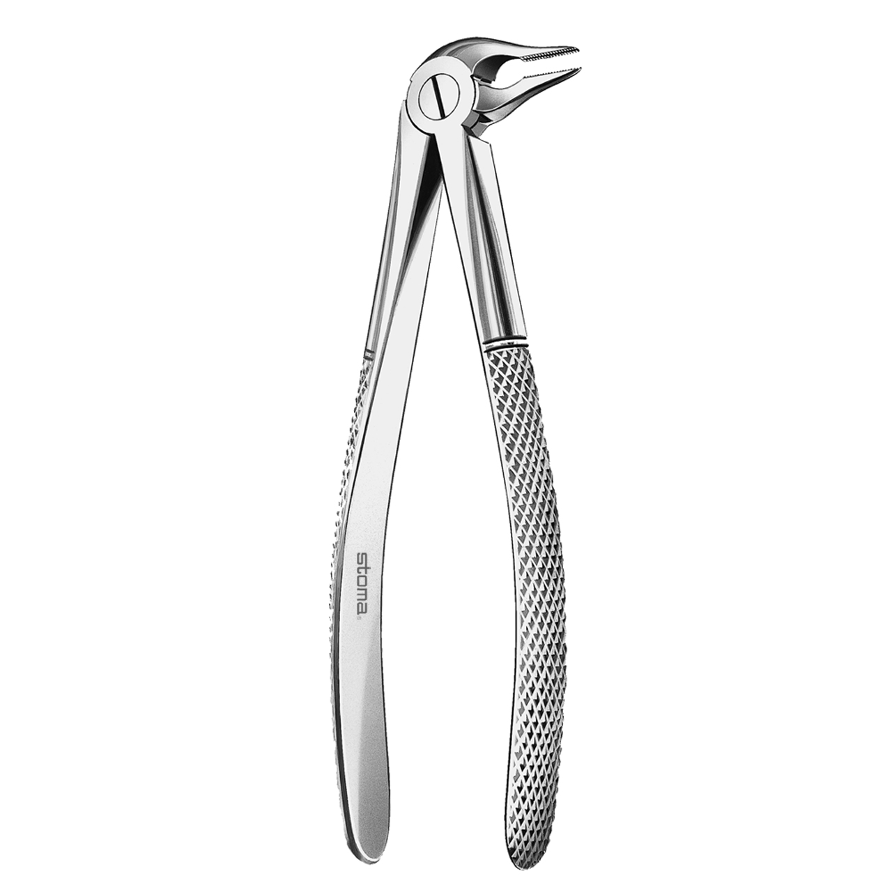 Forceps lower, fine roots